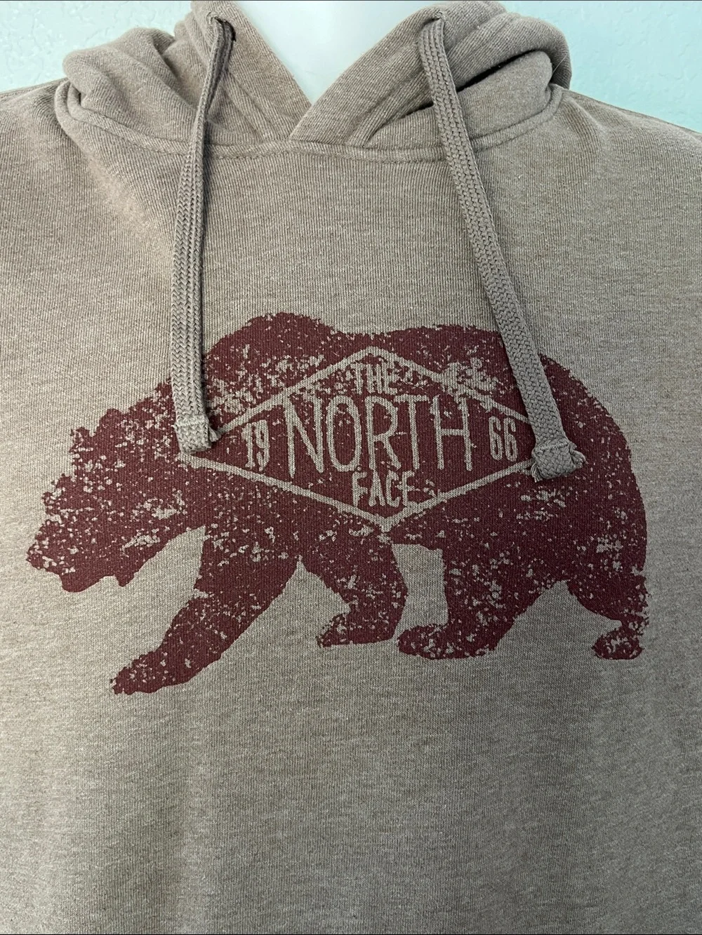 The North Face Men’s Large Brown Taupe Bear Graphic North 66 Pullover Hoodie